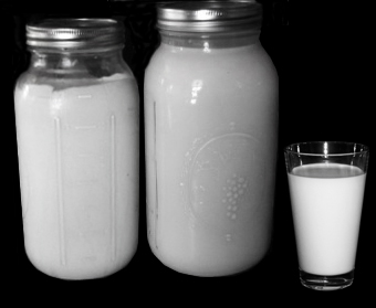 jars of goat milk
